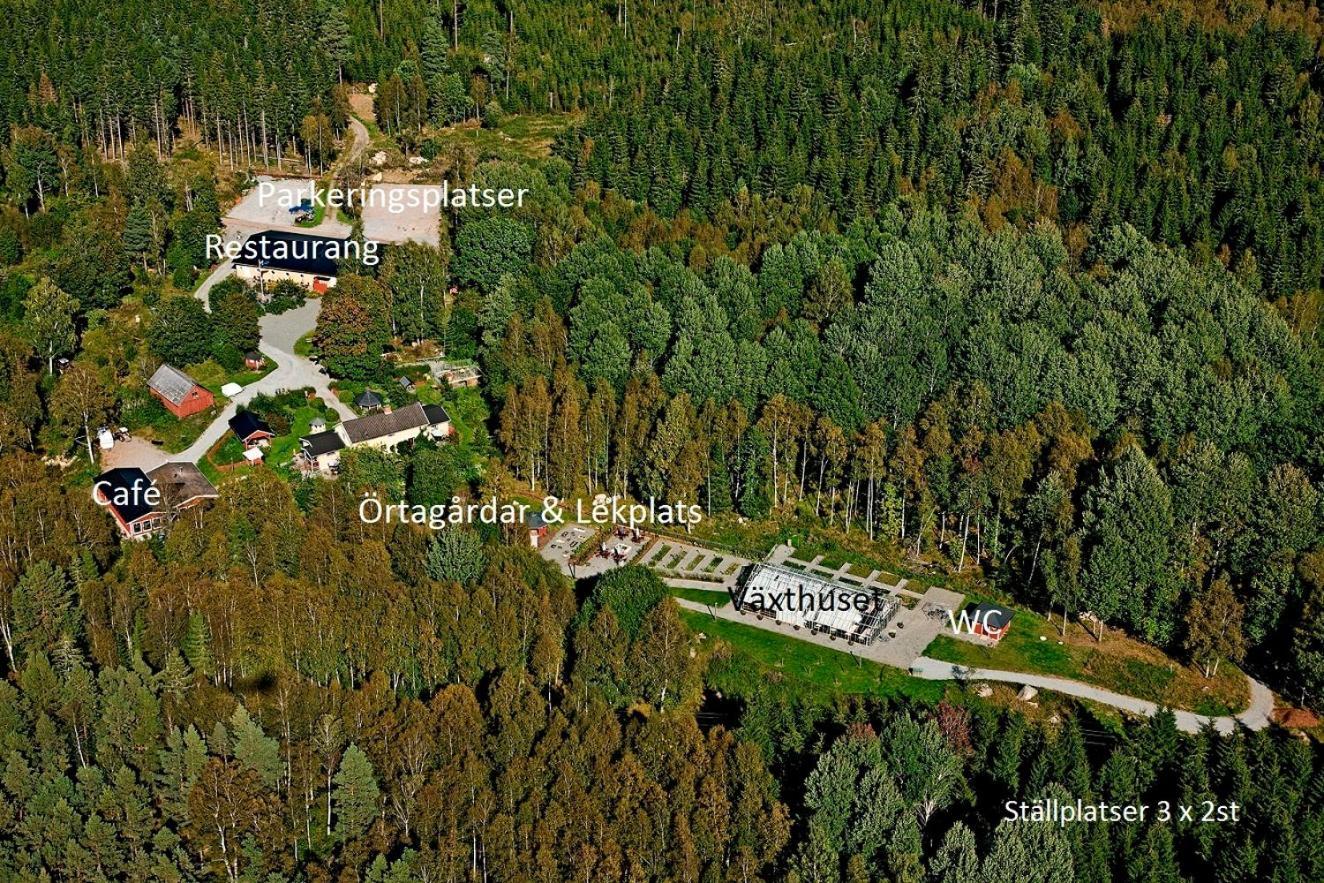 Timjan Forest Resort Nydala Экстерьер фото
